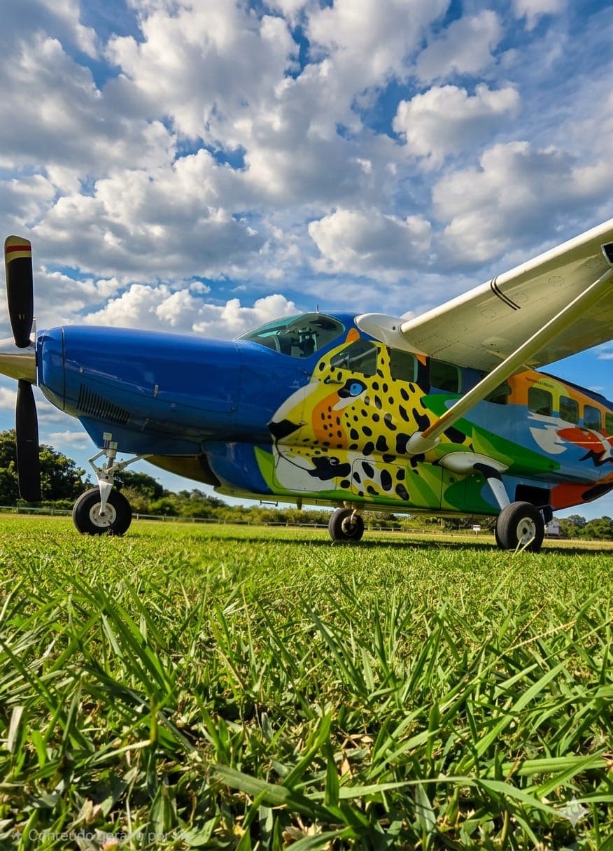 Private aircraft on runway